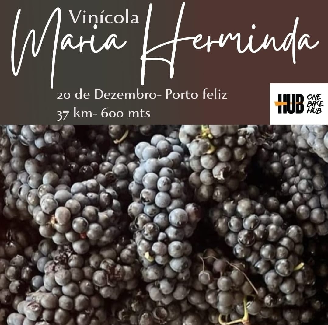 WhatsApp Image 2025-11-04 at 09.40.09.jpeg